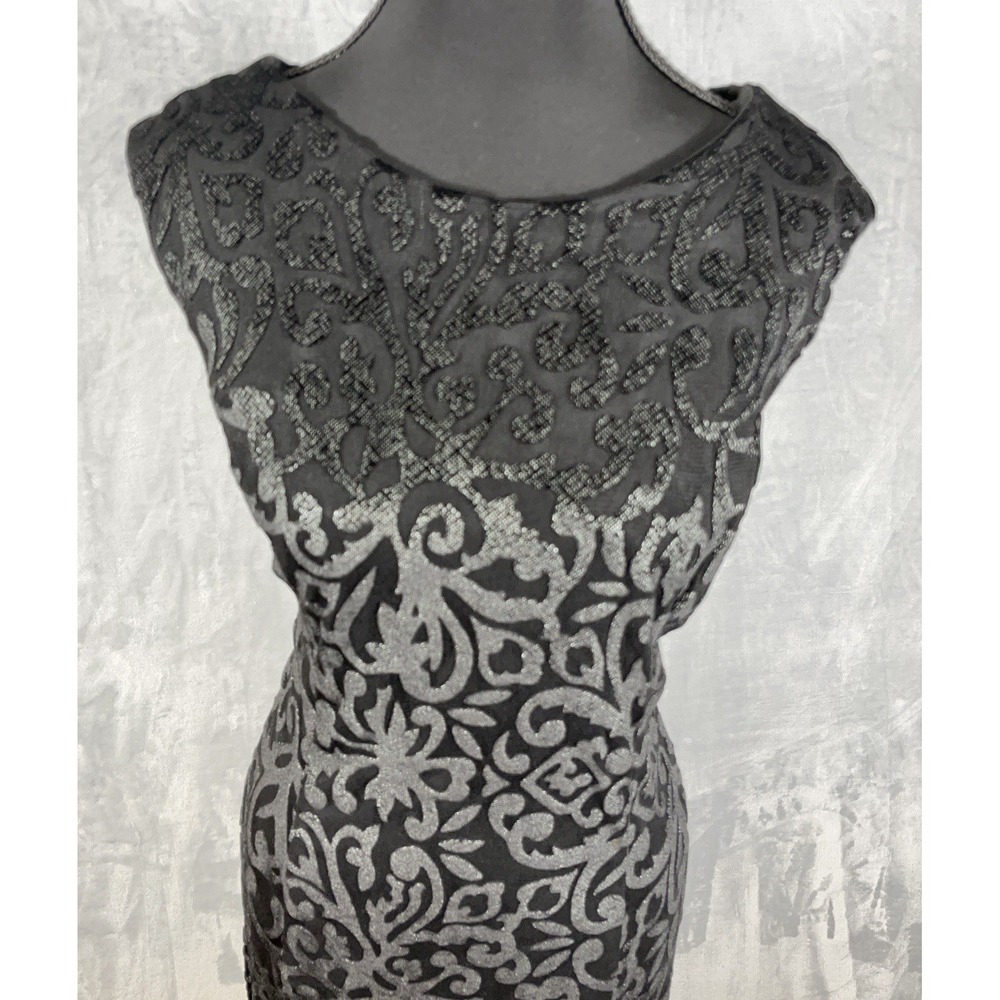 R M Richards Black Dress Sleeveless Velvet Burnout Fit&Flare 14 Whimsigoth Fairy